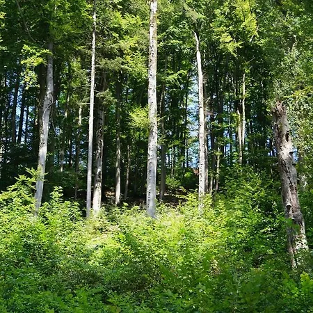Monteur- Gaestehaus Oberachtel Schnaittach